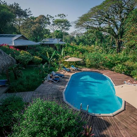 The Hummingbird Hotell Bocas del Toro Exteriör bild