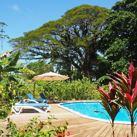 The Hummingbird Hotell Bocas del Toro Exteriör bild