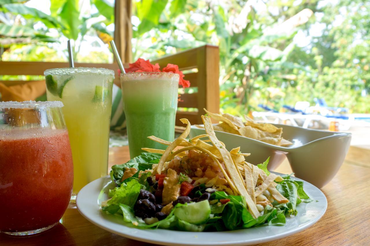 The Hummingbird Hotell Bocas del Toro Exteriör bild